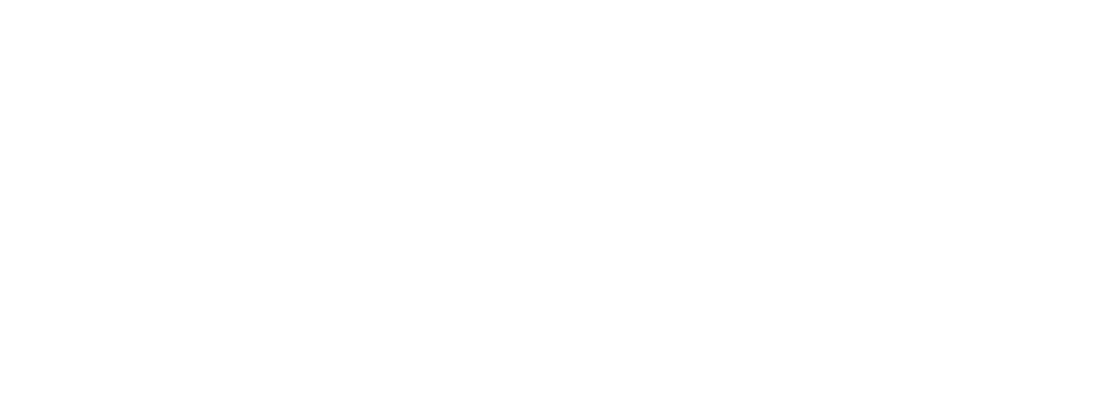 Visite la web de Barr X Inception CNN